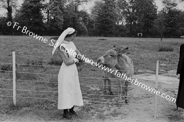 LINDEN NURSING HOME NUN WITH DONKEY